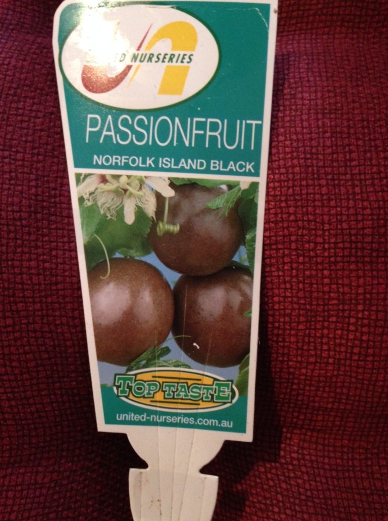 ungrafted passionfruit